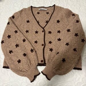 Zara Brown Cozy Cardigan